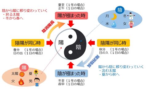 陰と陽 人間|人間の中の陰と陽